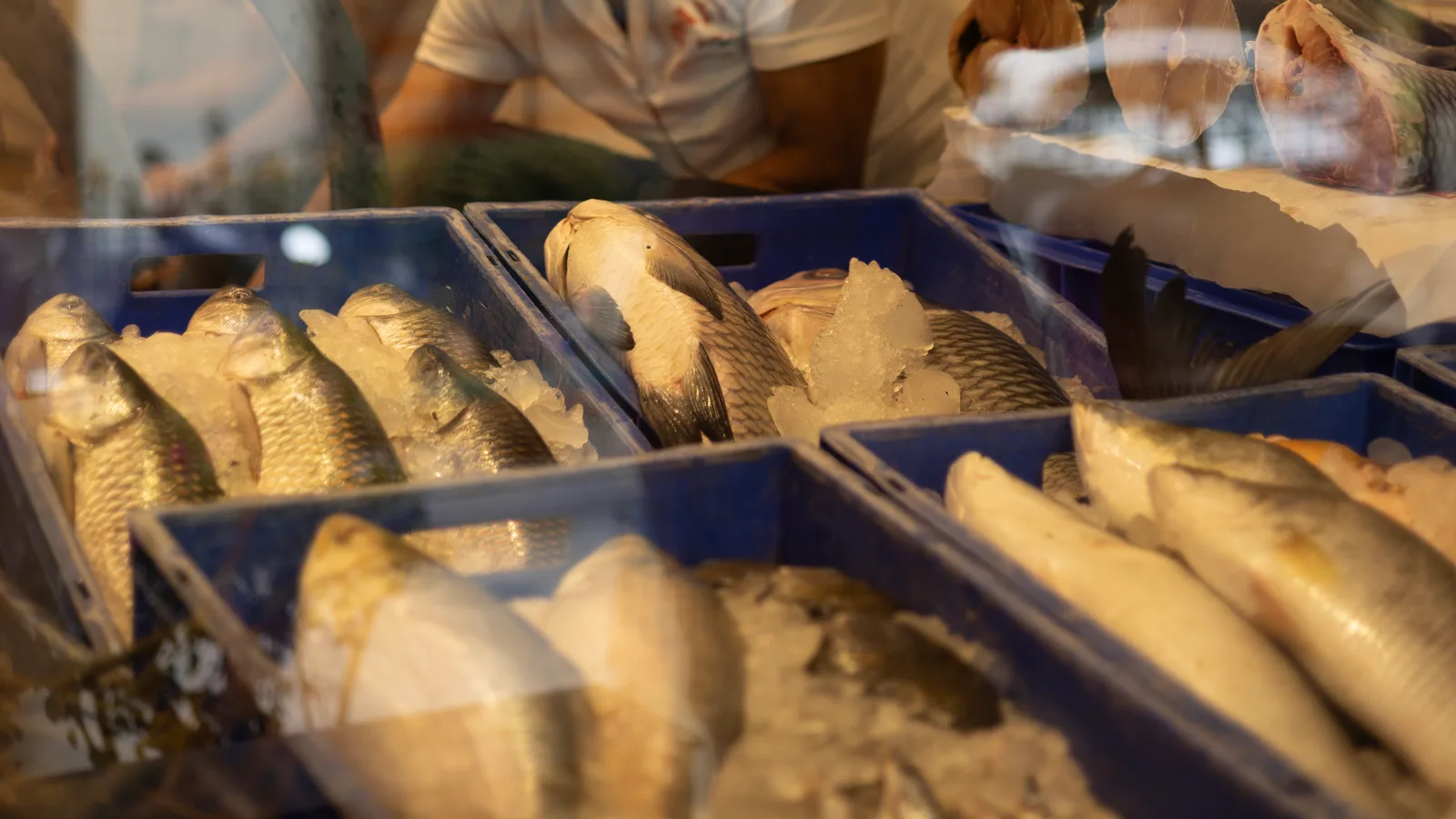 A buyer's guide to fish freshness