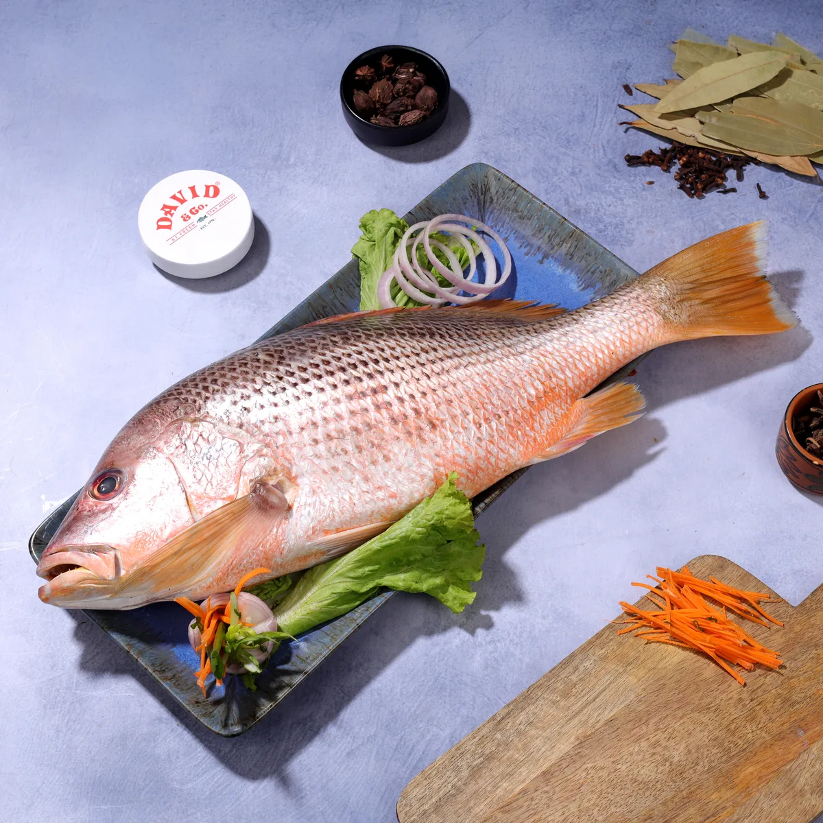 Red Snapper
